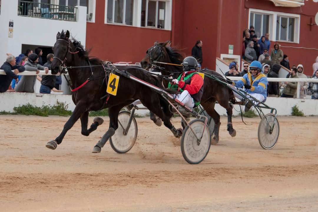 FB_IMG_1736716356211