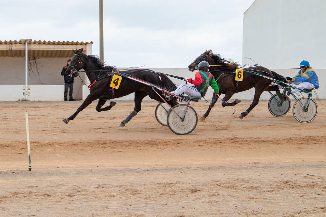 FB_IMG_1736716359191