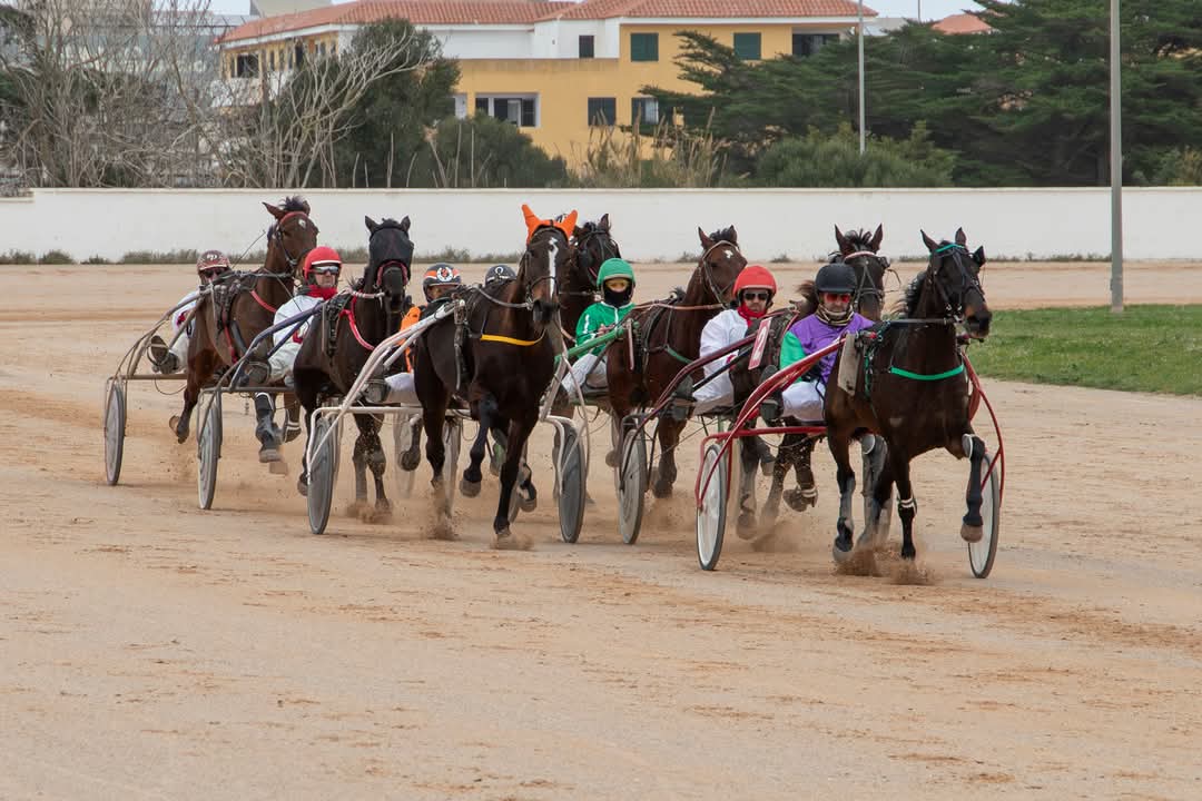 FB_IMG_1736716365765