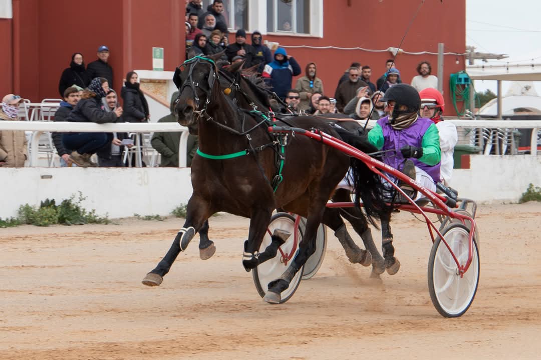 FB_IMG_1736716368711