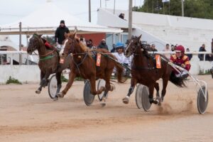 FB_IMG_1736716375719