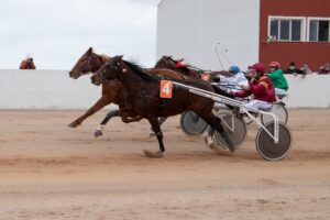 FB_IMG_1736716379029