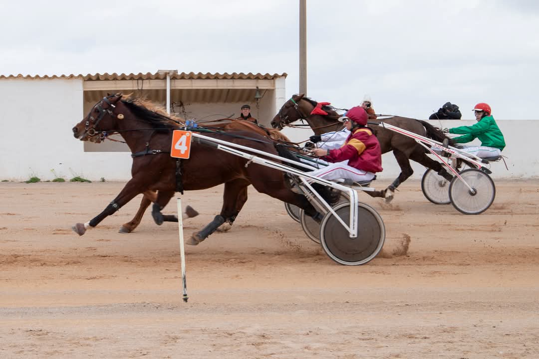 FB_IMG_1736716382194