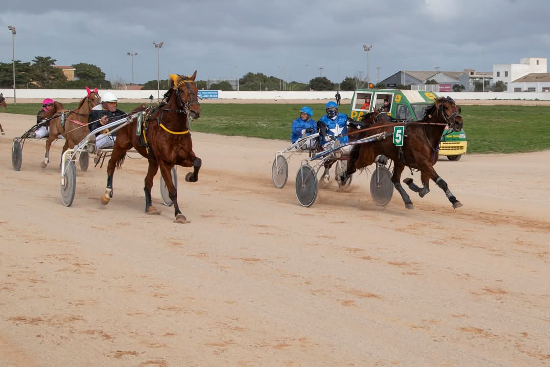 FB_IMG_1736716385073