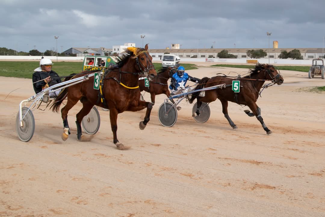 FB_IMG_1736716387898