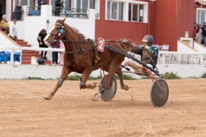 FB_IMG_1737565770163