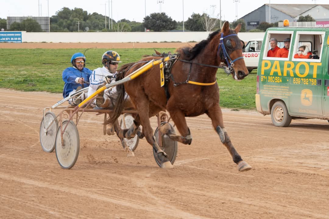 FB_IMG_1737565779015