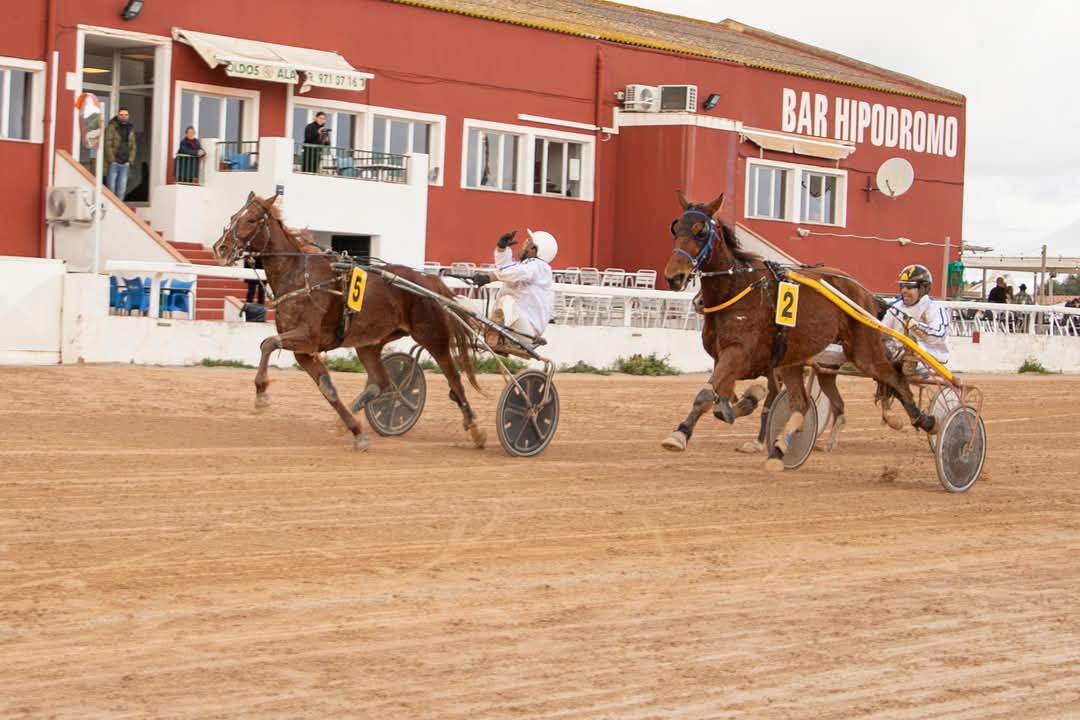 FB_IMG_1737565782277