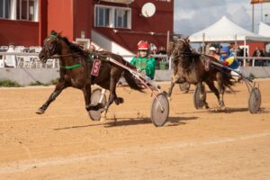 FB_IMG_1737565799760