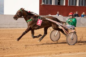 FB_IMG_1737565803256