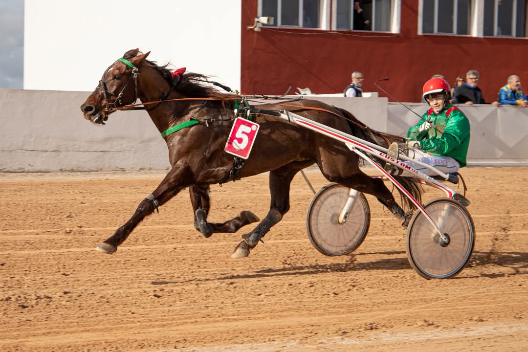 FB_IMG_1737565803256