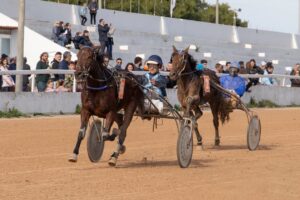 FB_IMG_1737565812240