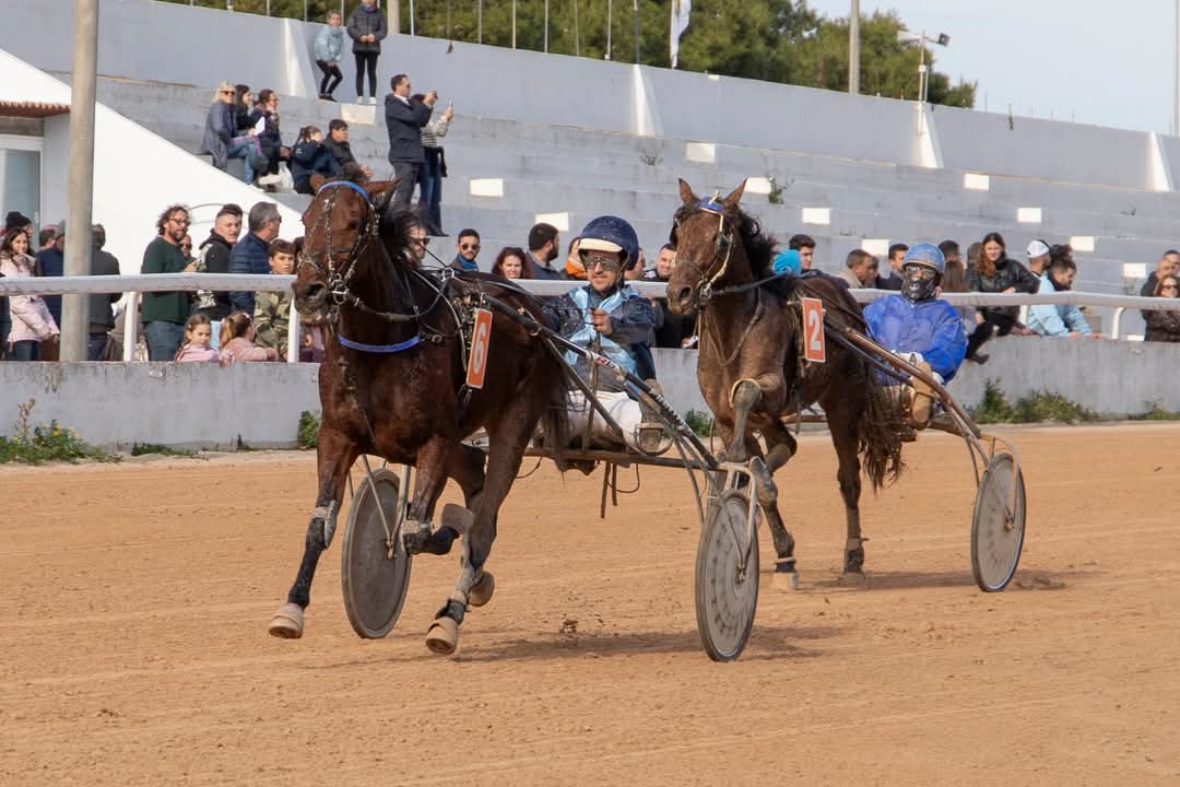 FB_IMG_1737565812240