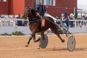 FB_IMG_1737565814800