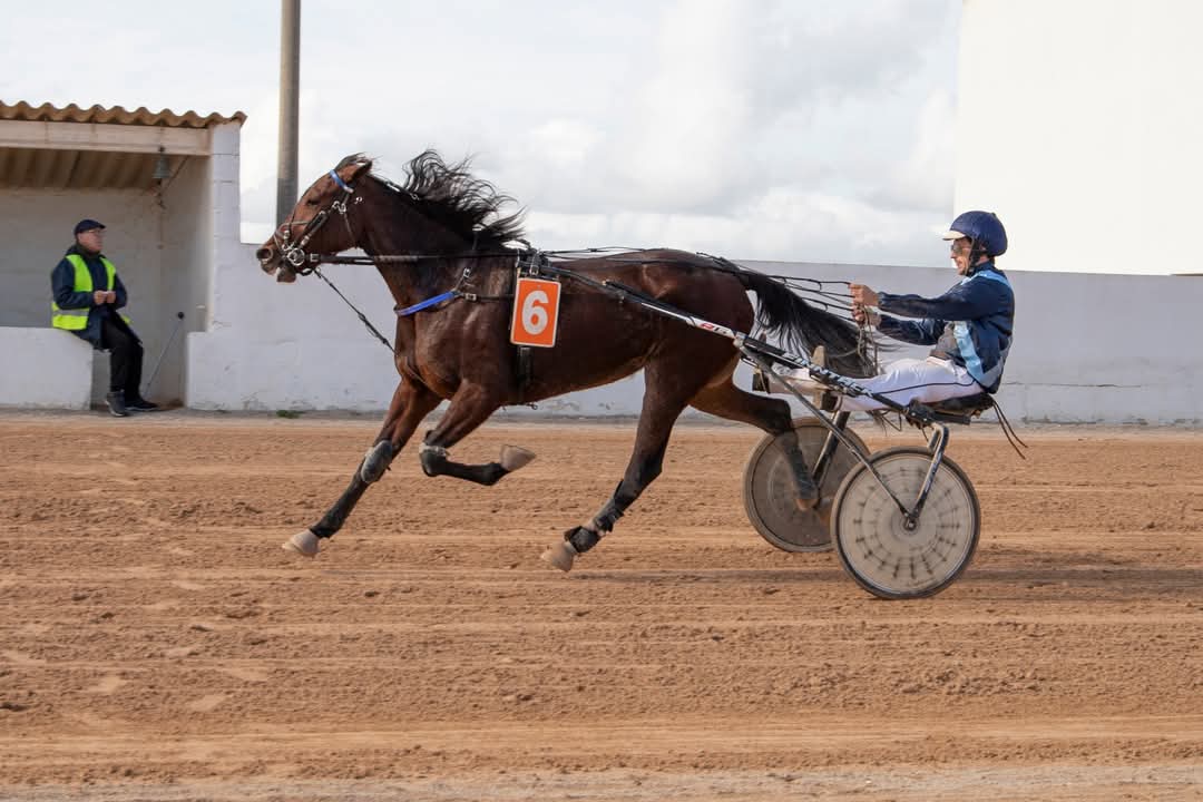 FB_IMG_1737565817527