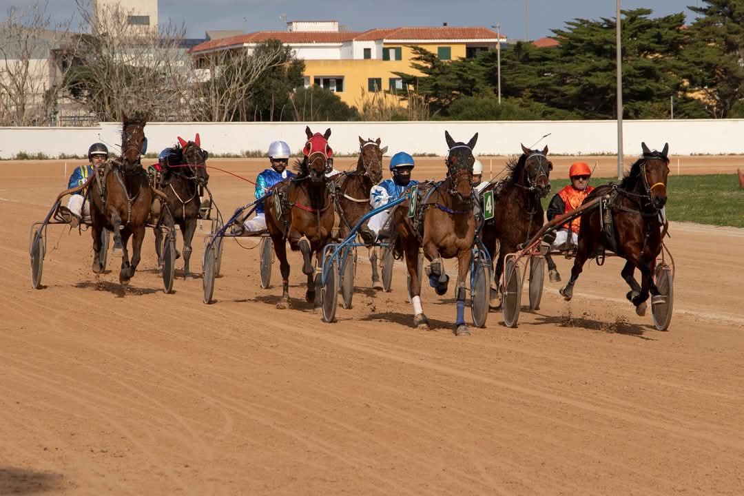 FB_IMG_1737565829573