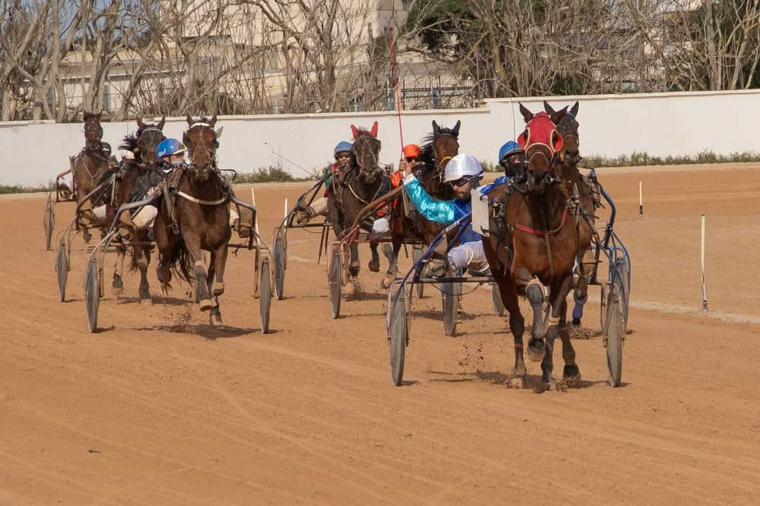 FB_IMG_1737565835413