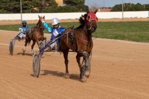 FB_IMG_1737565841740