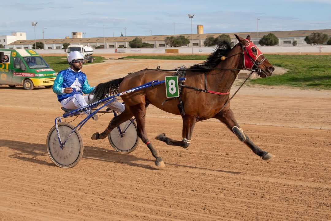 FB_IMG_1737565844886