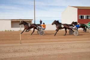 FB_IMG_1738006363294