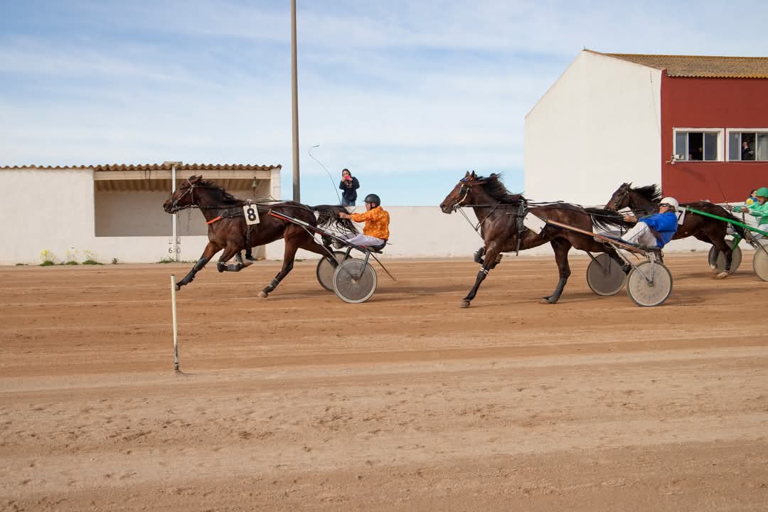 FB_IMG_1738006363294