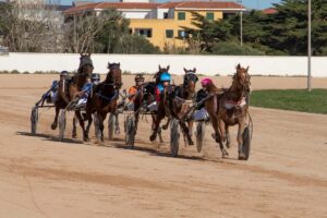 FB_IMG_1738006365734