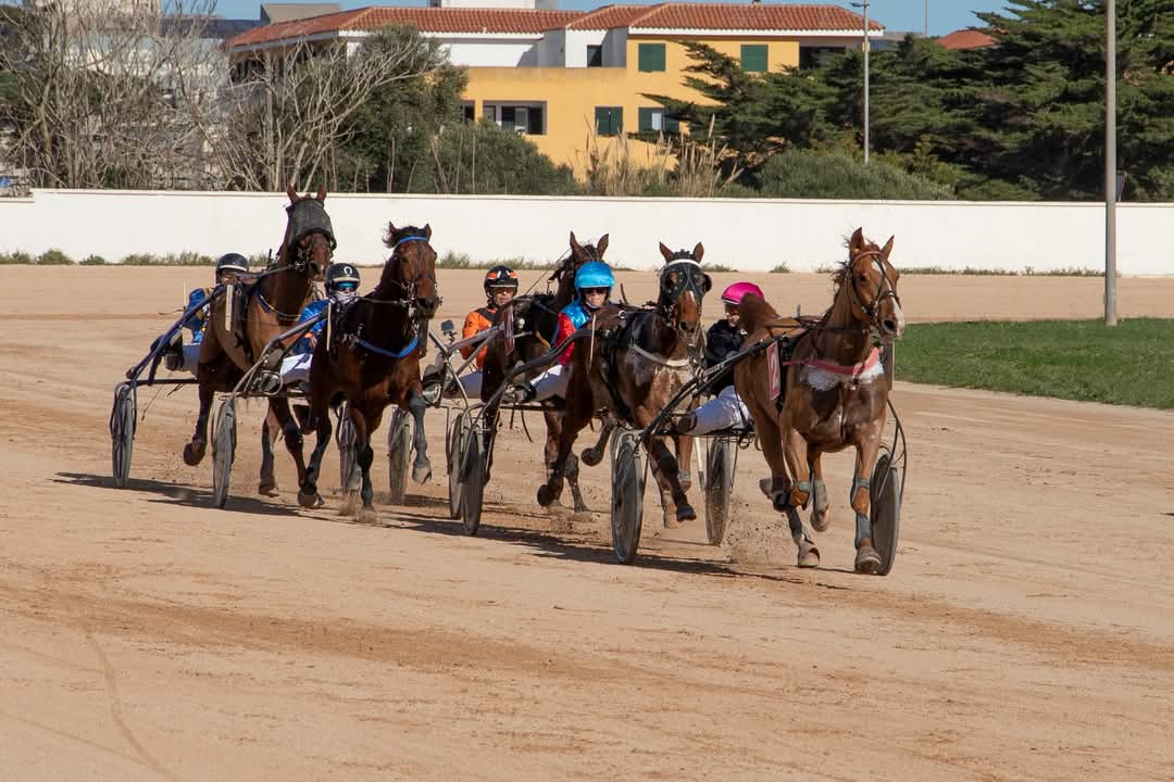 FB_IMG_1738006365734