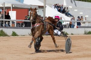 FB_IMG_1738006368191