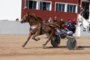 FB_IMG_1738006370666