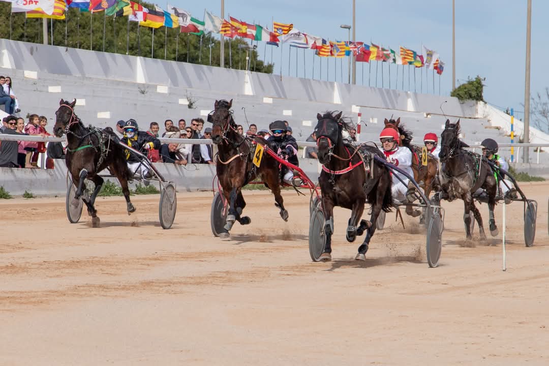 FB_IMG_1738006373491