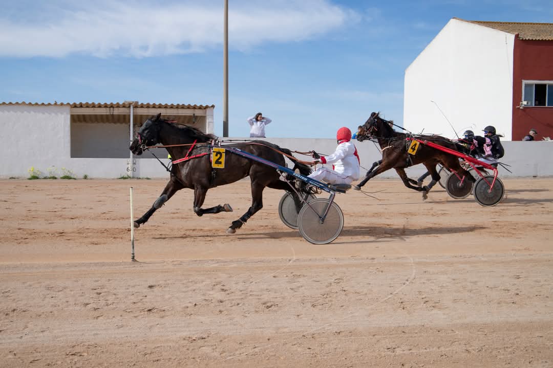 FB_IMG_1738006378656