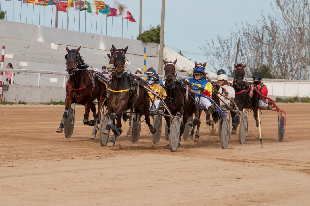 FB_IMG_1738006381065