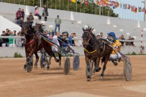 FB_IMG_1738006383406