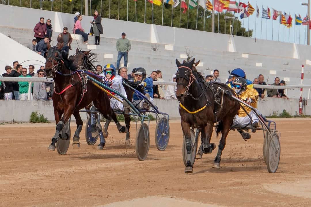 FB_IMG_1738006383406