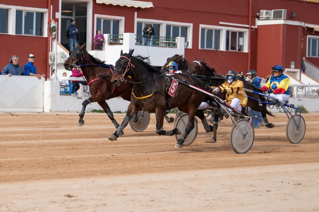 FB_IMG_1738006385594