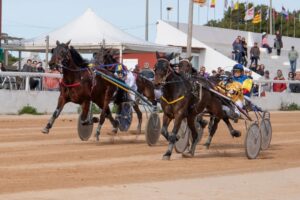 FB_IMG_1738006387821