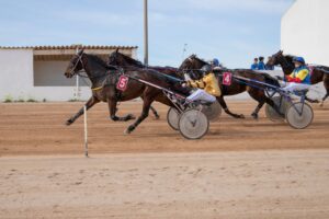 FB_IMG_1738006389961