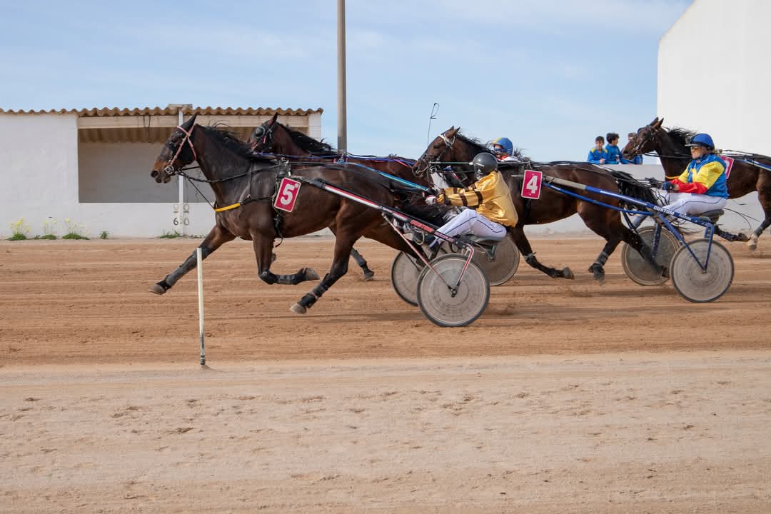 FB_IMG_1738006389961