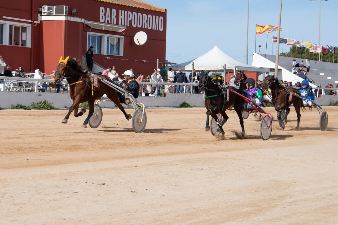 FB_IMG_1738006392219