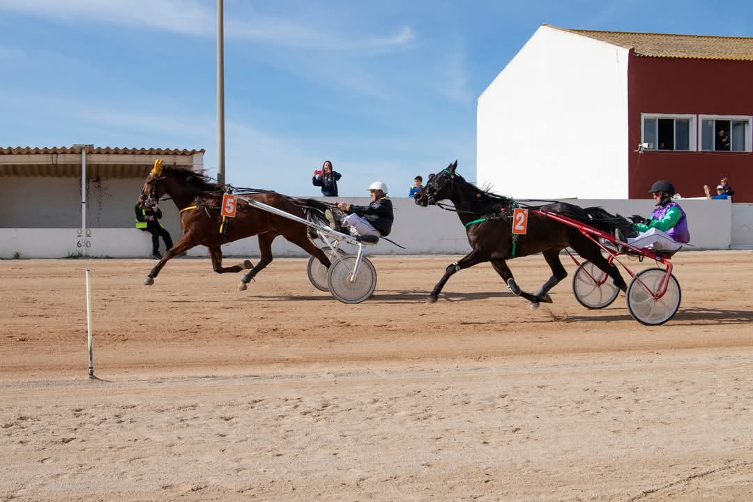 FB_IMG_1738006394844