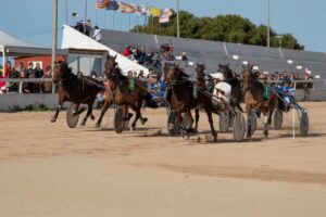 FB_IMG_1738006397227