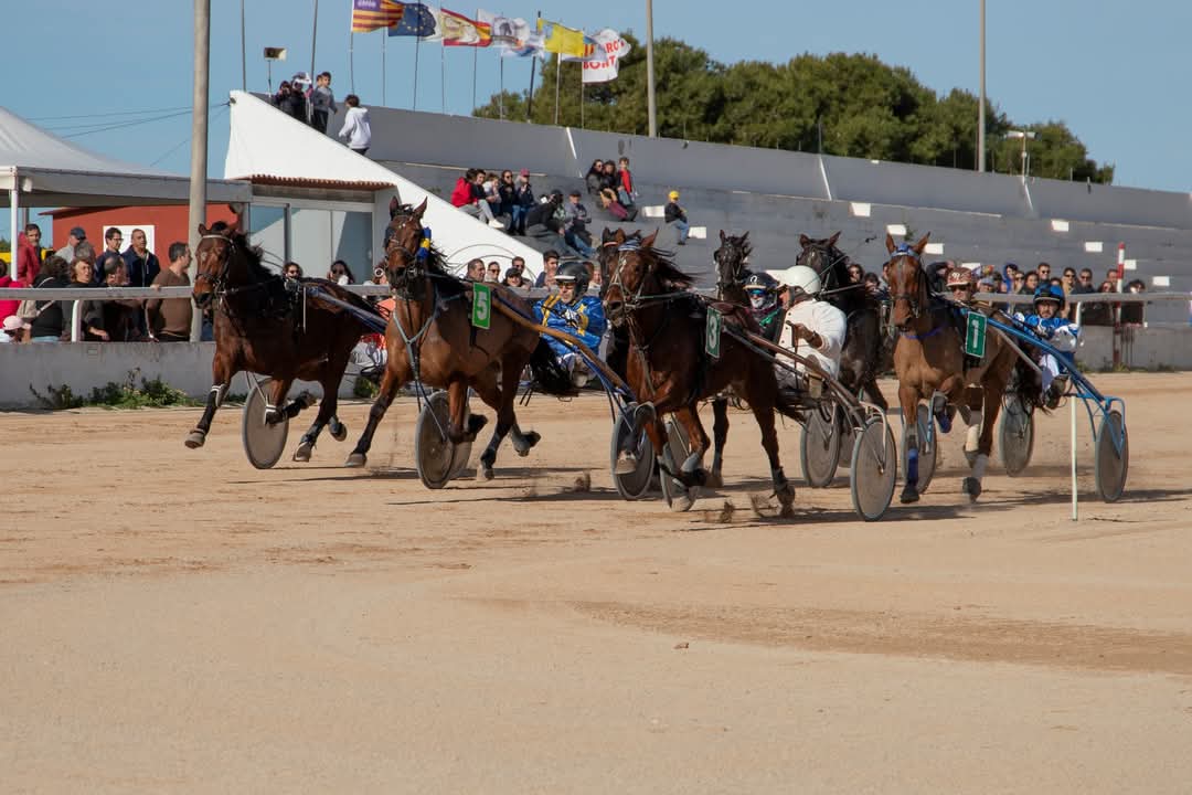 FB_IMG_1738006397227