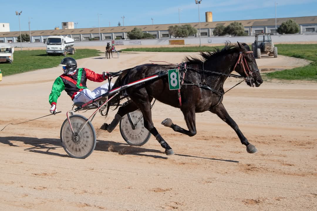 FB_IMG_1738006399660