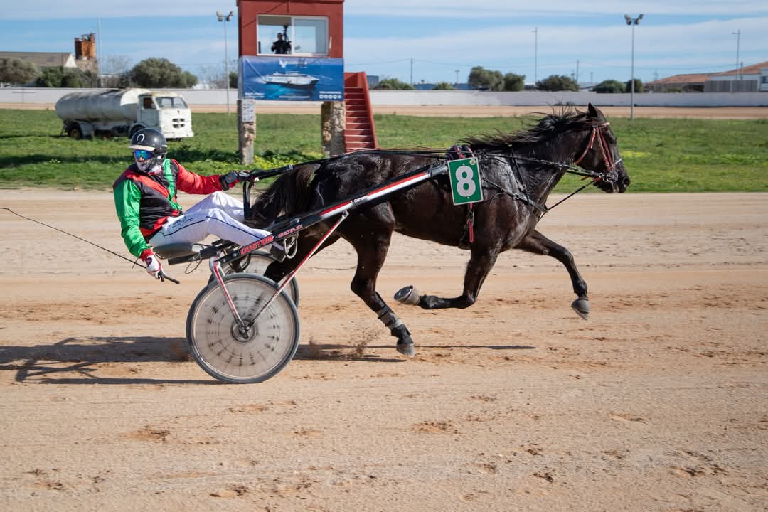 FB_IMG_1738006403021