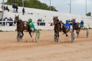 Screenshot_20250112_221054_Gmail