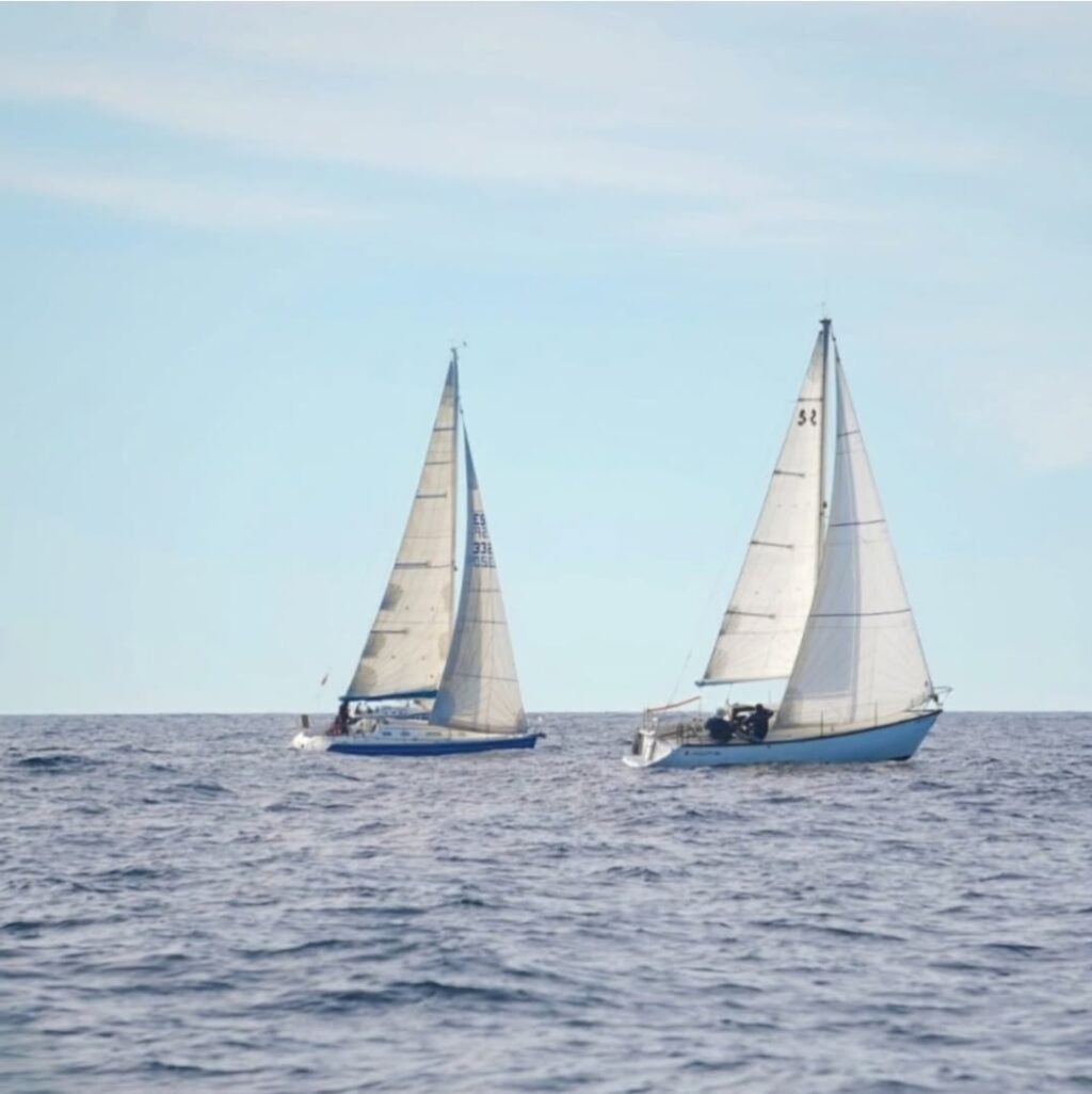 Screenshot_20250127_174050_Instagram