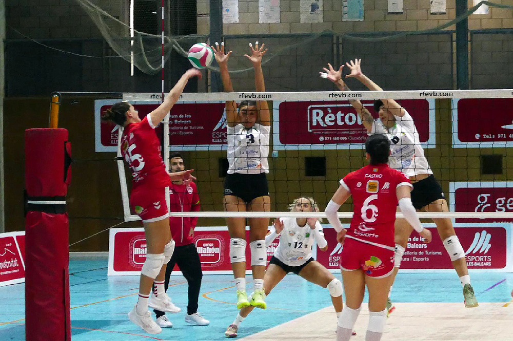 Avarca de Menorca -CV Sayre