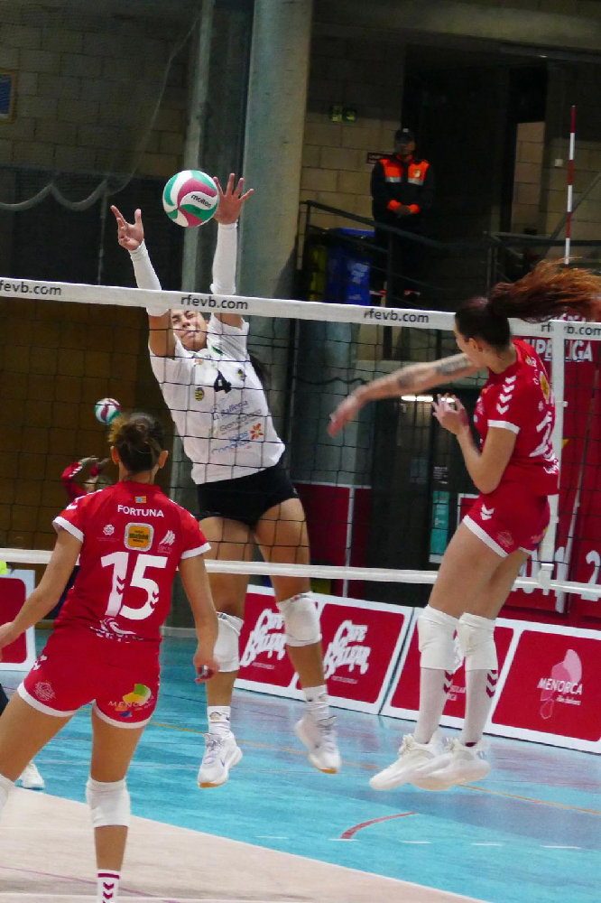 Avarca de Menorca -CV Sayre