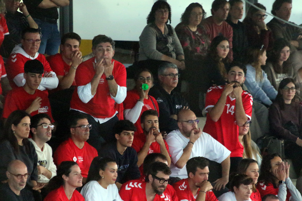 Final Copa de La Reina 25 Avarca de Menorca-Heidelberg