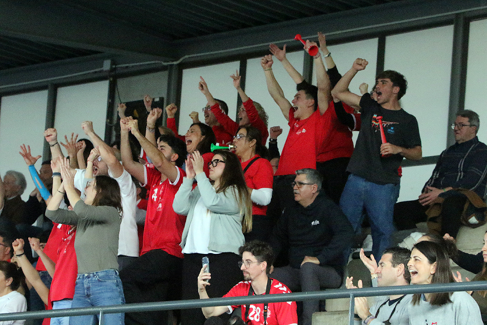Final Copa de La Reina 25 Avarca de Menorca-Heidelberg